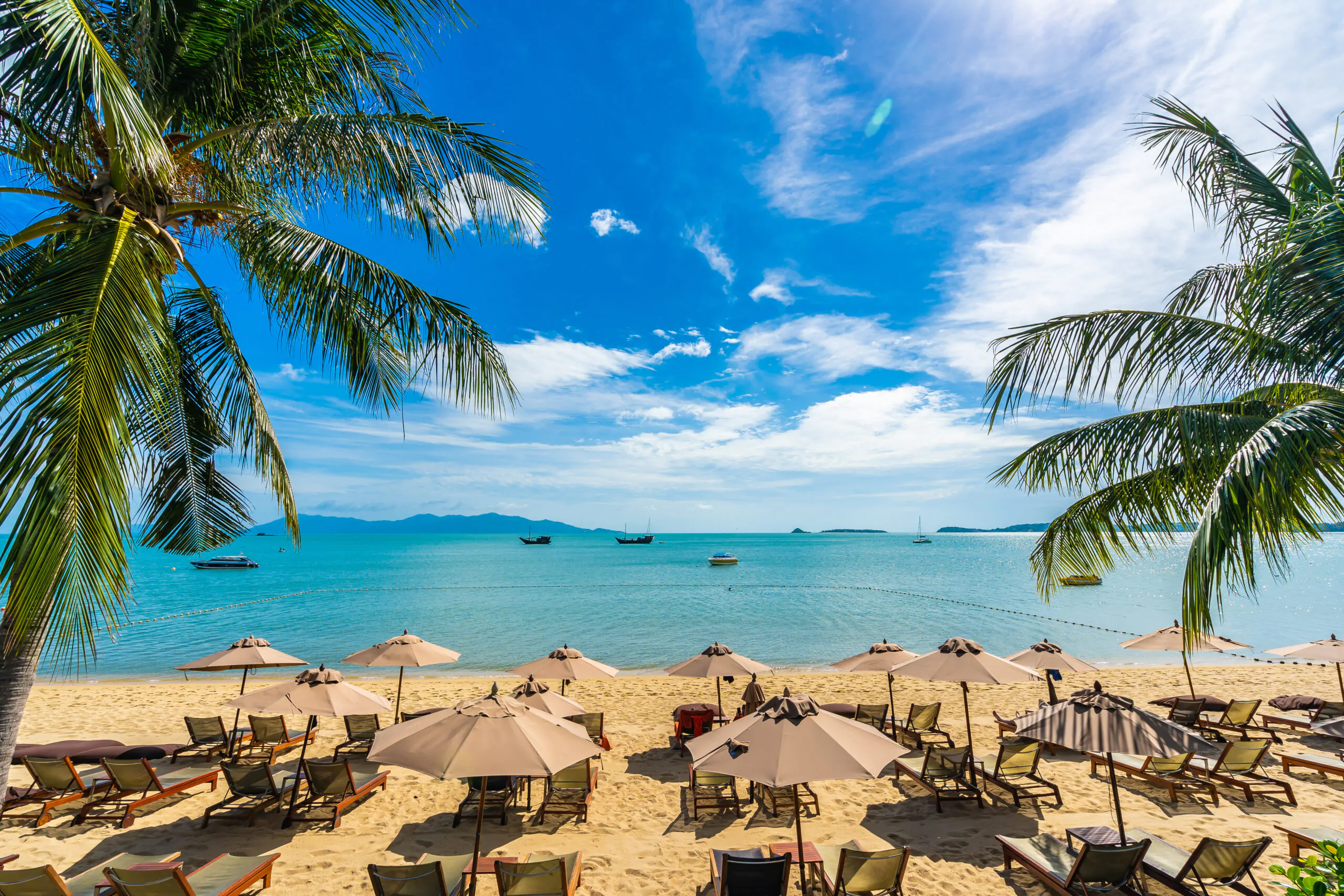 Beach Resort